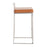LumiSource Fuji Stacker Counter Stool, Set of 2, Brushed Steel/Camel