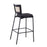 LumiSource Tania Rattan Bar Stool, Set of 2, Black/Rattan