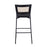 LumiSource Tania Rattan Bar Stool, Set of 2, Black/Rattan