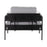 LumiSource Kari Chair, Black/Light Grey