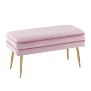 LumiSource Neapolitan Storage Bench, Gold Steel/Blush Pink Velvet - OT-NEOAUVPK