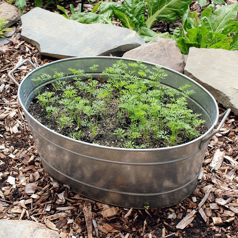 Minuteman International Galvanized Steel Tub | Oval Rustic Metal | Firewood Storage & Party Beverage Tub | 15 x 21 x 9 in | Model C-51