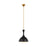 Visual Comfort Studio 1101 Lucerne 1-Lt Pendant, BK/BS/Milk - AEP1011BBSMBK