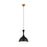 Visual Comfort Studio 1101 Lucerne 1-Lt Pendant, BK/BS/Milk