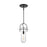 Visual Comfort Studio Nuance 1 Light Medium Pendant, Aged Iron/Clear - KP1021AI