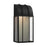 Visual Comfort Studio Veronica 1-Lt Med Wall Lantern, Black/Clear