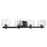 Minka Lavery Drysdale 4 Light Bath Vanity, Coal/Clear - 2234-66A