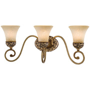Minka Lavery Salon Grand 24in 3-Light Bath Vanity | Traditional Florence Patina Bronze and Leaf Detail | Bathroom Vanity Light | Model 5553-477