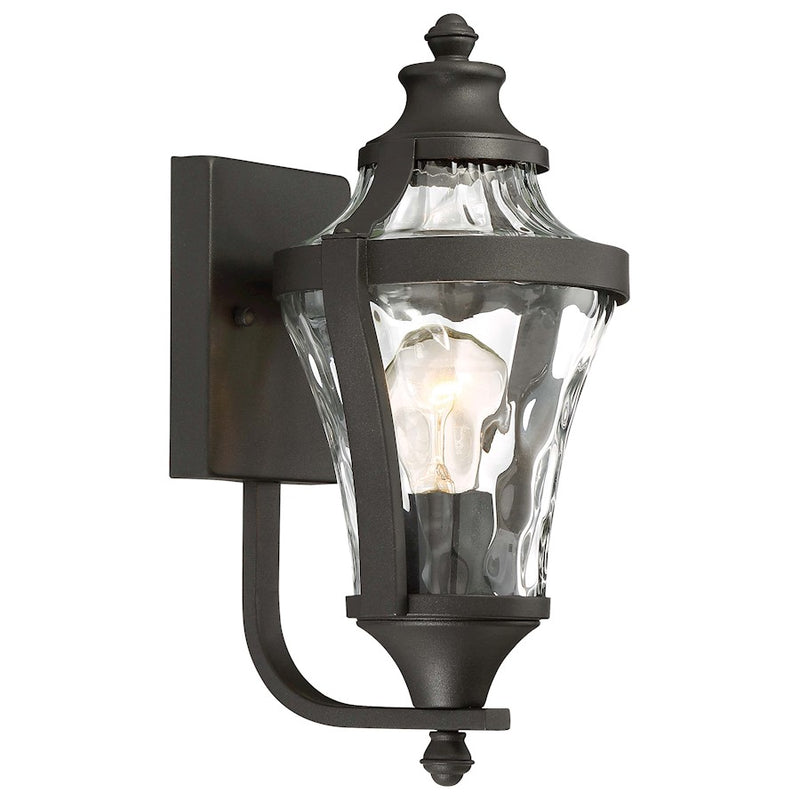 Minka Lavery Libre 1-Light Outdoor Wall Sconce | Traditional Black and Clear Watered Glass | Entryway & Patio Accent | 7 x 8 x 14 in | Model 72561-66