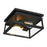 Minka Lavery Isla Vista 2 Light Outdoor Flush Mount, Coal/Clear - 73217-66A