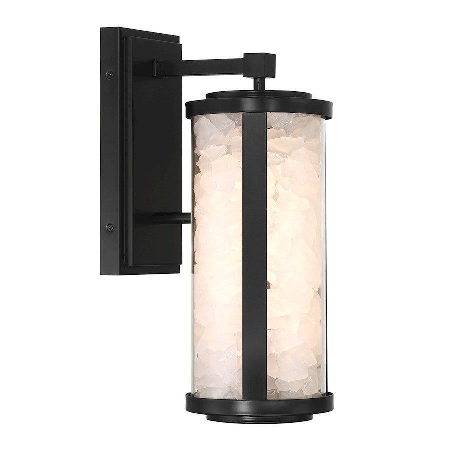 Great Outdoors Salt Creek 14W 1Lt LED Outdoor Sconce, Coal/Clear - 8181-66A-L