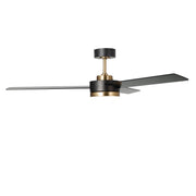 Millennium Lighting Trestwyn 52in 3-Blade 5CCT LED Ceiling Fan | Transitional Brass and Matte Black Plywood | Bedroom & Living | Model 1100LED-BR-MBK
