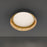Modern Forms Gilt 1Lt 22" LED Flush Mount, Bronze Gold Leaf/White