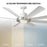Modern Forms Fans Aura 8-Blade Ceiling Fan, Nickel White
