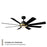 Modern Forms Fans Aura 8-Blade Ceiling Fan, Brass Black