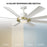 Modern Forms Fans Aura 8-Blade Ceiling Fan, Brass White