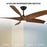 Modern Forms Fans Zephyr 5 5-Blade Ceiling Fan, Black Koa