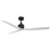 Modern Forms Fans Spinster 3-Blade Ceiling Fan, Black White