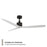 Modern Forms Fans Spinster 3-Blade Ceiling Fan, Black White