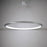 Modern Forms The Ring 1Lt 48" LED Round Pendant/3000K, Aluminum