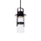 Modern Forms Balthus 1Lt 15" LED 1Lt Pendant/3000K, Black - PD-W28515-BK