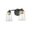 Millennium Lighting Abilene 2Lt Vanity, Black/Clear