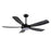 RP Lighting Airstra 5Bld 52" LED Ceiling Fan, Mat. Blk/Etched - 1010WLED-MBK-MBK