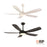 RP Lighting Airstra 5Bld 52" LED Ceiling Fan, Mat. White/Etched