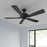 RP Lighting Brisden 5Bld 52" Ceiling Fan, Matte Black