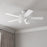 RP Lighting Calivane 5Bld 52" LED Ceiling Fan, Matte White/Etched
