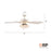 RP Lighting Calivane 5Bld 52" LED Ceiling Fan, Matte White/Etched