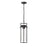 Millennium Lighting Russell 1Lt Outdoor Pendant, Coated Black/Clear - 10521-PBK