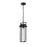 Millennium Lighting Russell 1Lt Outdoor Pendant, Coated Black/Clear