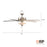 RP Lighting Galeson 5Bld 52" LED Ceiling Fan, Nickel/Etched