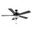 RP Lighting Galeson 5Bld 52" LED Ceiling Fan, Matte Black/Etched - 1058MBK-MBK-L