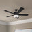 RP Lighting Galeson 5Bld 52" LED Ceiling Fan, Matte Black/Etched