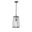 Millennium Lighting Dutton 1Lt Outdoor Hanging Lantern, Black/Clear
