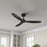 RP Lighting Cirova 3Bld 52" Ceiling Fan, Matte Black