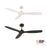 RP Lighting Cirova 3Bld 52" Ceiling Fan, Matte Black