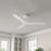 RP Lighting Cirova 3Bld 52" Ceiling Fan, Matte White
