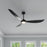 RP Lighting Wynleaf 3Bld 72" LED Ceiling Fan, Blk/Etched