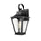 Millennium Lighting Curry 1Lt Outdoor Wall Sconce, Black/Clear