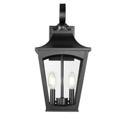 Millennium Lighting Curry 2Lt Outdoor Wall Sconce, Black/Clear - 10921-PBK