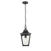 Millennium Lighting Curry 1Lt Outdoor Pendant, Coated Black/Clear - 10931-PBK