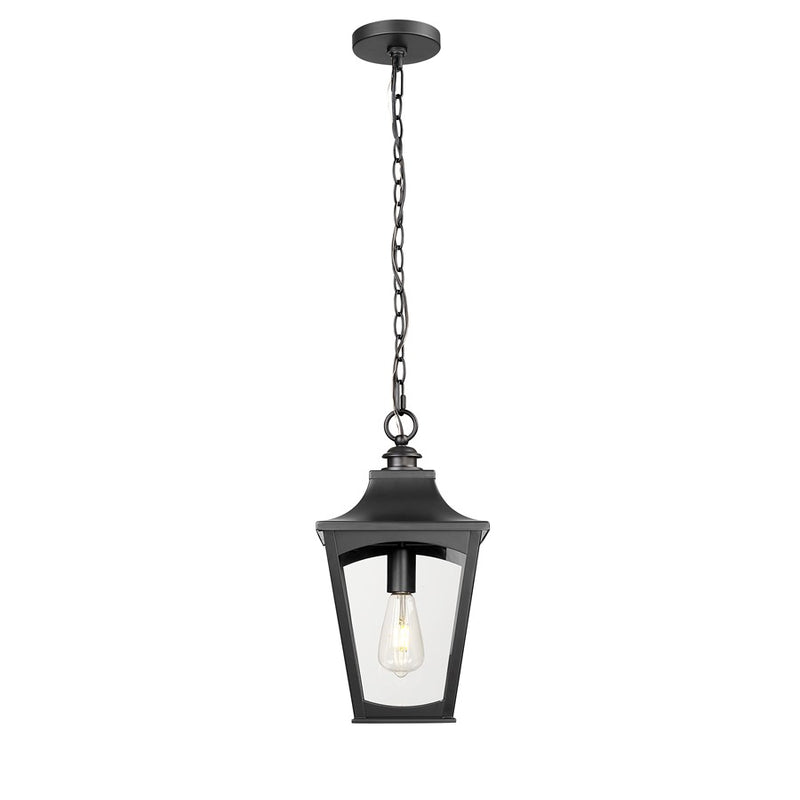 Millennium Lighting Curry 1Lt Outdoor Pendant, Coated Black/Clear - 10931-PBK