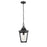 Millennium Lighting Curry 1Lt Outdoor Pendant, Coated Black/Clear - 10931-PBK