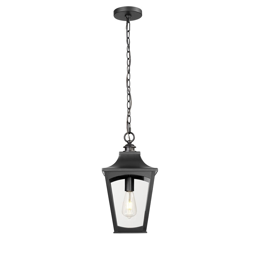 Millennium Lighting Curry 1Lt Outdoor Pendant, Coated Black/Clear - 10931-PBK