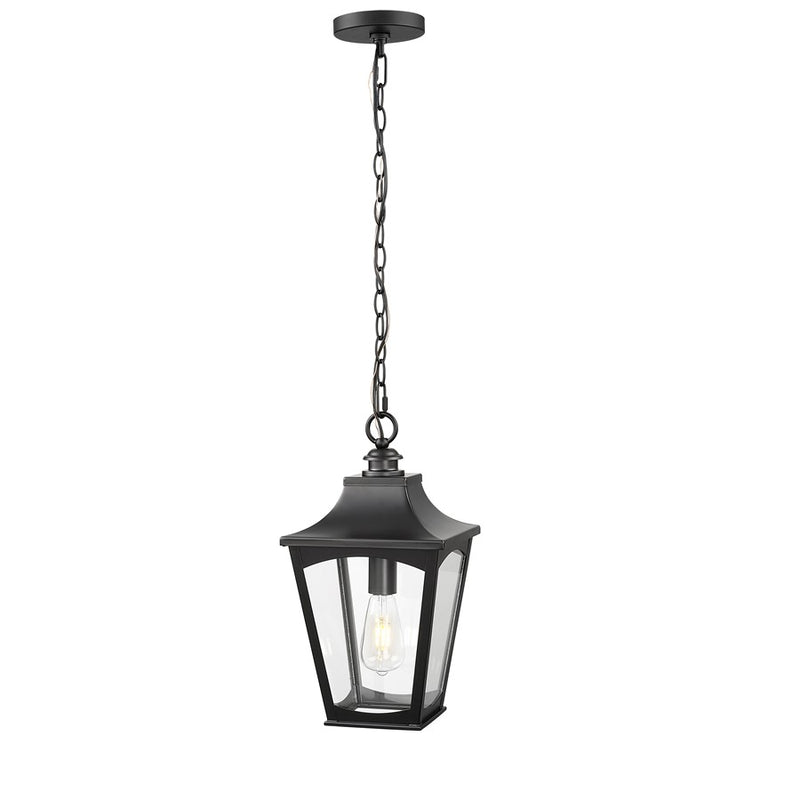 Millennium Lighting Curry 1Lt Outdoor Pendant, Coated Black/Clear