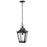 Millennium Lighting Curry 1Lt Outdoor Pendant, Coated Black/Clear