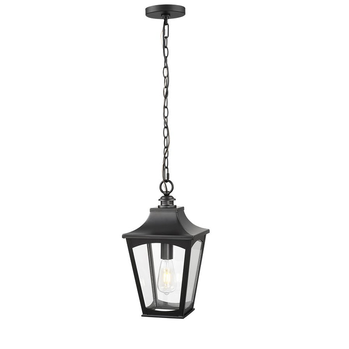 Millennium Lighting Curry 1Lt Outdoor Pendant, Coated Black/Clear